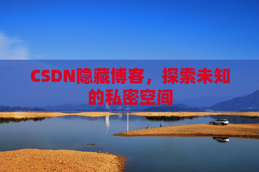 CSDN隐藏博客，探索未知的私密空间